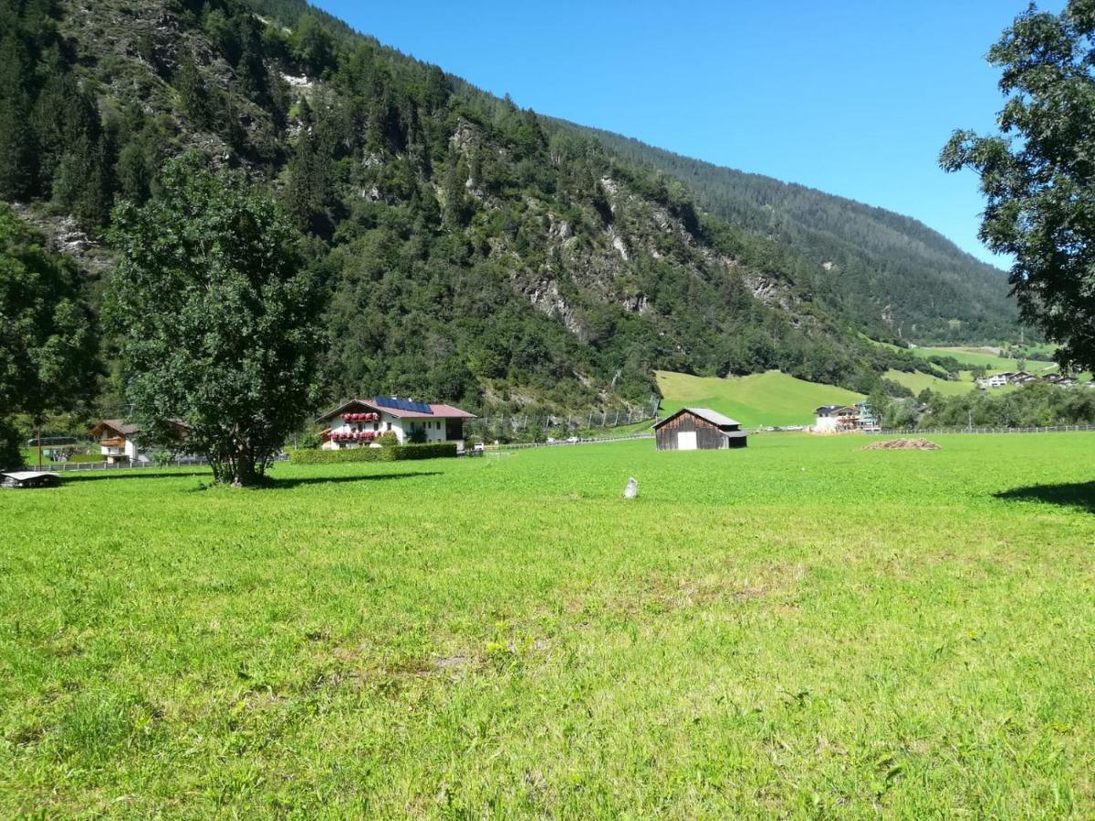 Schlatterhof Apartment Neustift im Stubaital Bagian luar foto